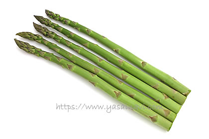 ゼンユウガリバー