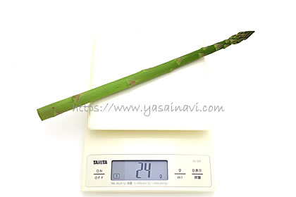 ゼンユウガリバー