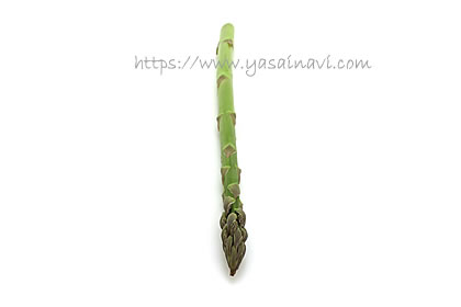 ゼンユウガリバー