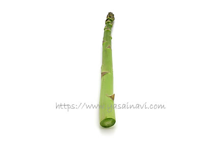 ゼンユウガリバー