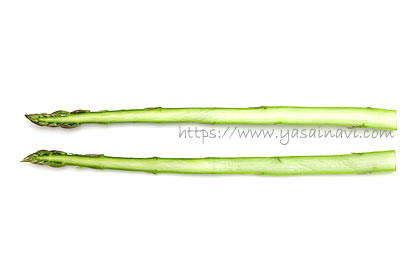 ゼンユウガリバー