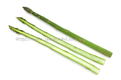 ゼンユウガリバー