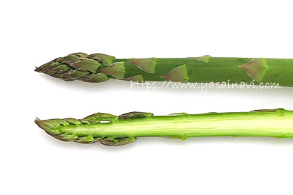 ゼンユウガリバー