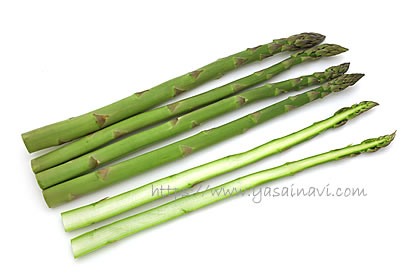 ゼンユウガリバー