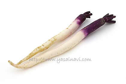 日野菜 日野菜