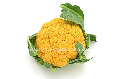 オレンジブーケ