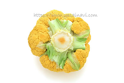 オレンジブーケ