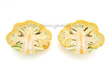 オレンジブーケ