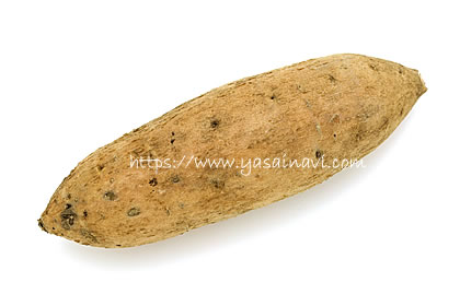 伊勢志摩ゴールド