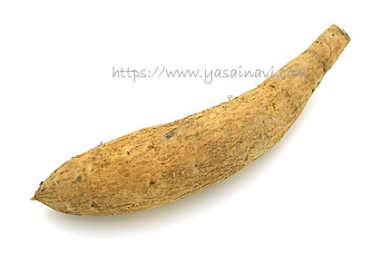 伊勢志摩ゴールド