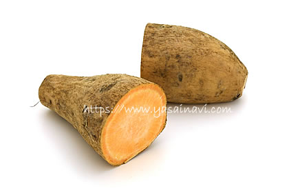 伊勢志摩ゴールド