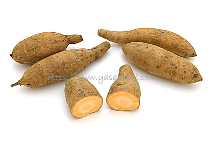 伊勢志摩ゴールド