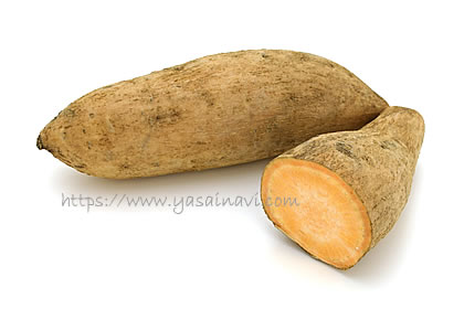 伊勢志摩ゴールド