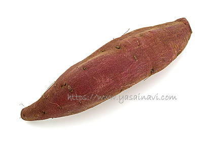 シルクスイート