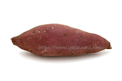 シルクスイート