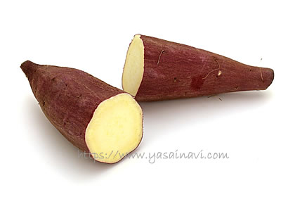 シルクスイート