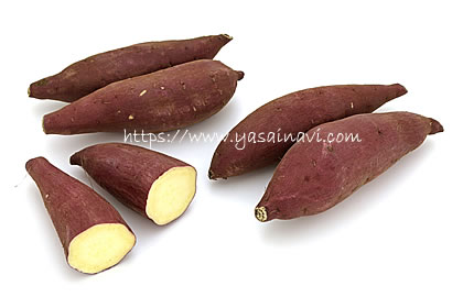 シルクスイート