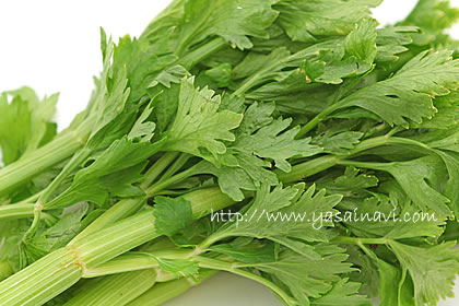 セロリの葉 セロリの葉
