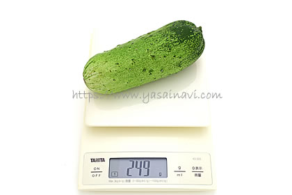 わんぱく坊主
