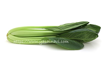 小松菜