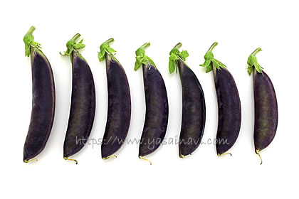 パープルスナップ 藤姫