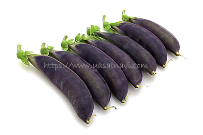 パープルスナップ 藤姫