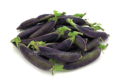 パープルスナップ 藤姫