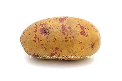 タワラアルタイル彦星