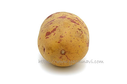 タワラアルタイル彦星