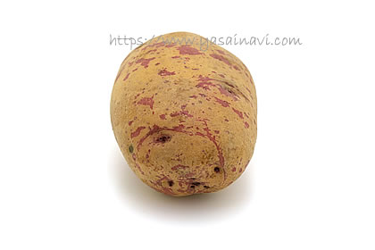 タワラアルタイル彦星