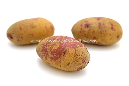 タワラアルタイル彦星