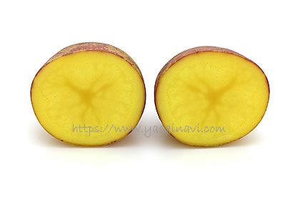 タワラアルタイル彦星