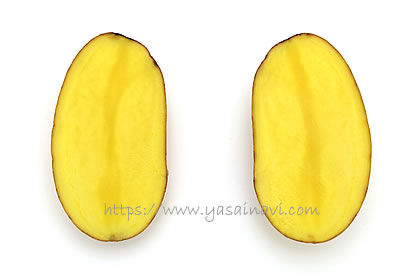 タワラアルタイル彦星