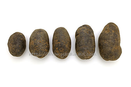 ノーブルシャドウ