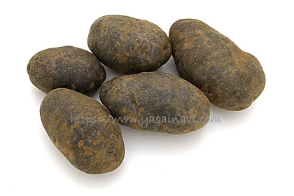 ノーブルシャドウ