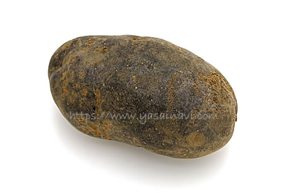 ノーブルシャドウ