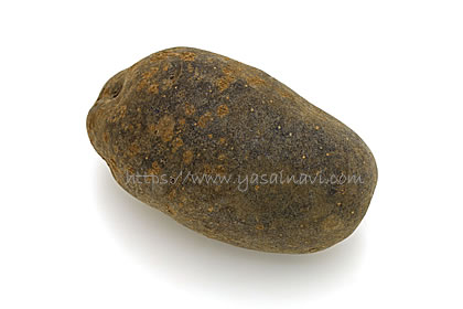 ノーブルシャドウ