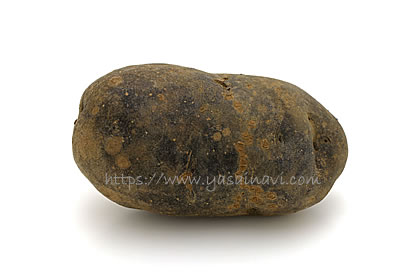 ノーブルシャドウ