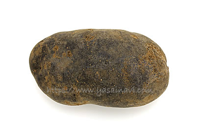 ノーブルシャドウ