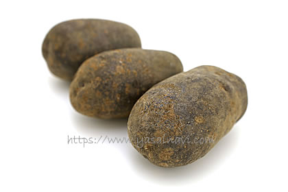 ノーブルシャドウ