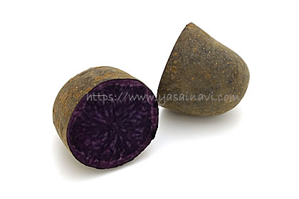 ノーブルシャドウ