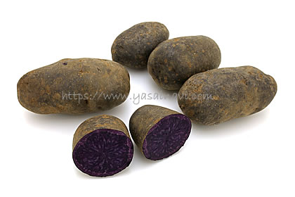 ノーブルシャドウ