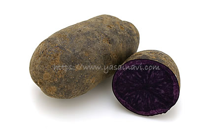 ノーブルシャドウ