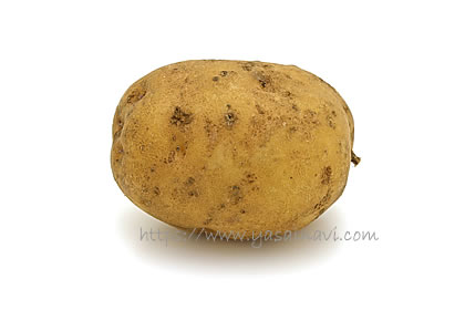 おいねのつる芋