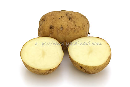 おいねのつる芋