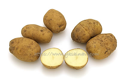 おいねのつる芋