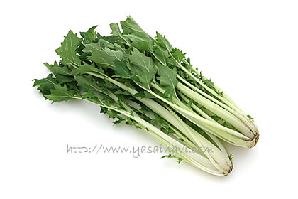 広茎京菜