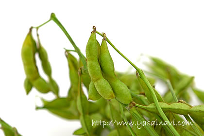 黒愛菜 黒愛菜