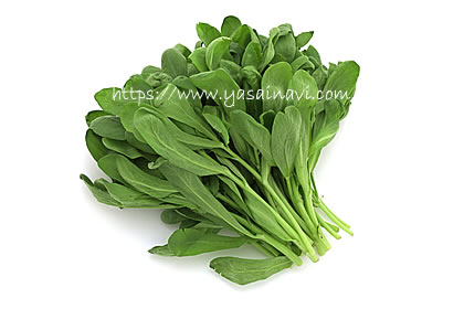 イタリアン春菊