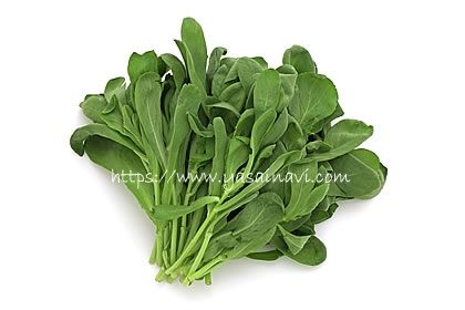 イタリアン春菊